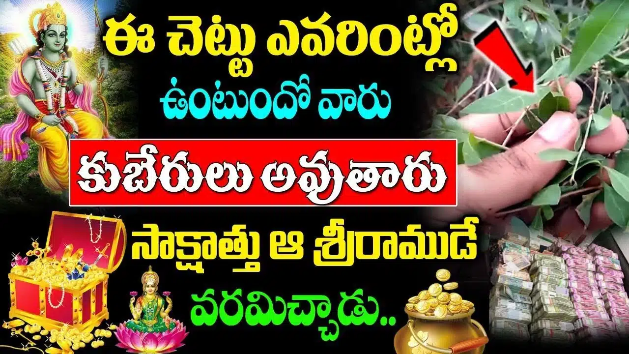 amazing health facts of lawsonia inermis