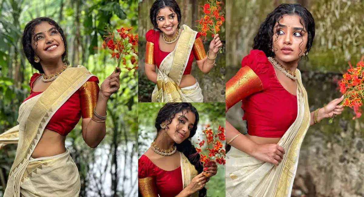 Anupama Parameswaran engagement pics viral