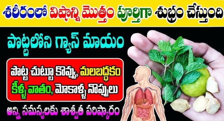 Health Tips : పొట్ట చుట్టూ ఉన్న కొవ్వు మాయం.. కీళ్ల నొప్పులు, మలబద్దకం, గ్యాస్ సమస్యలు ఎప్పటికీ రావు…!!