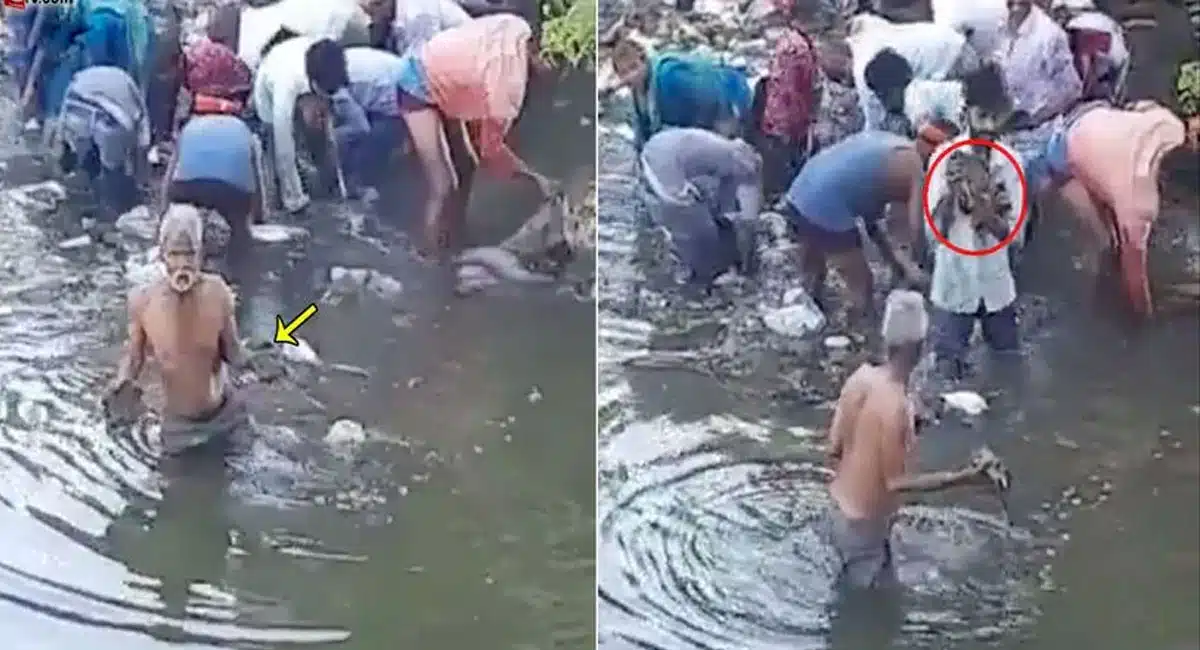 video of a crowd suddenly throwing money in the canal in the heart of the village