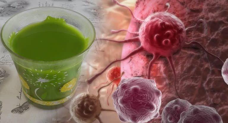 Cancer : ఈ ఆకు రసంతో క్యాన్సర్ కు చెక్ పెట్టవచ్చు..!!