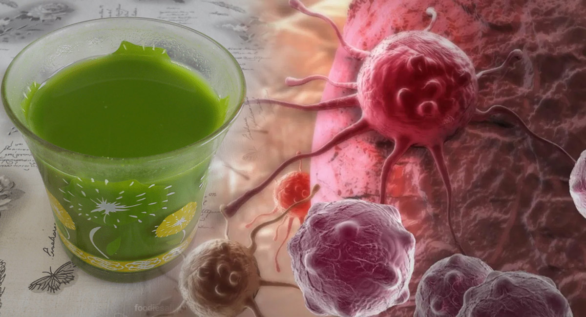Cancer can be checked with this leaf juice