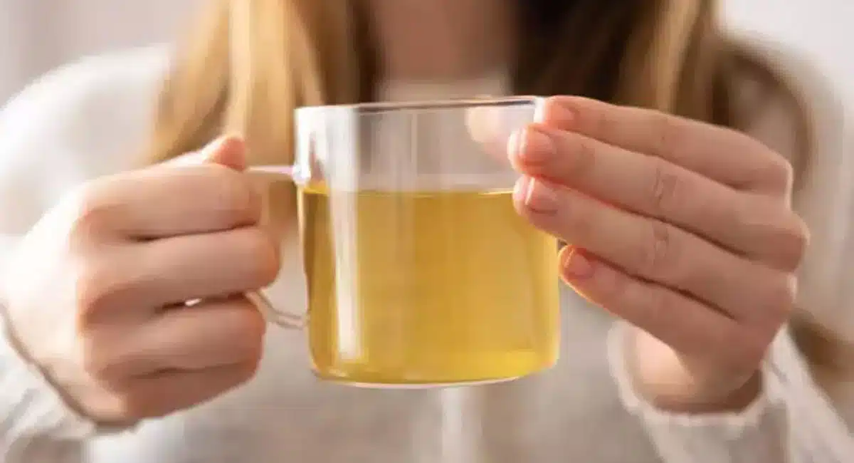 coriander and cinnamon water is good for weight loss