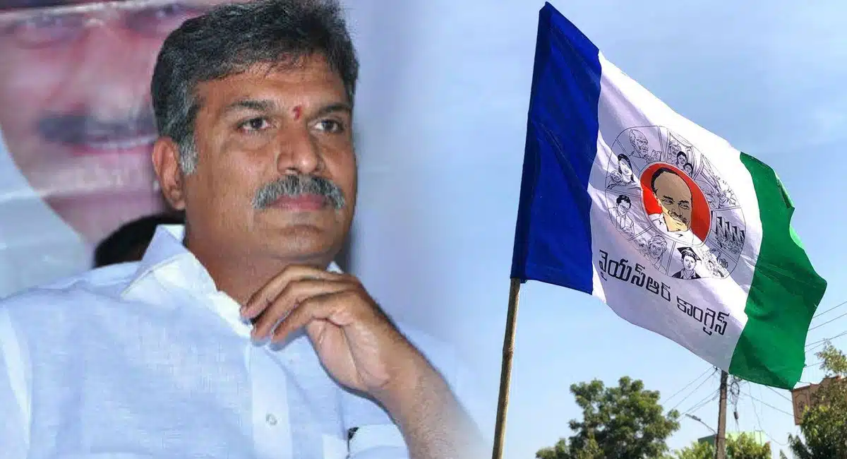 ysrcp party to give mp ticket to kesineni nani