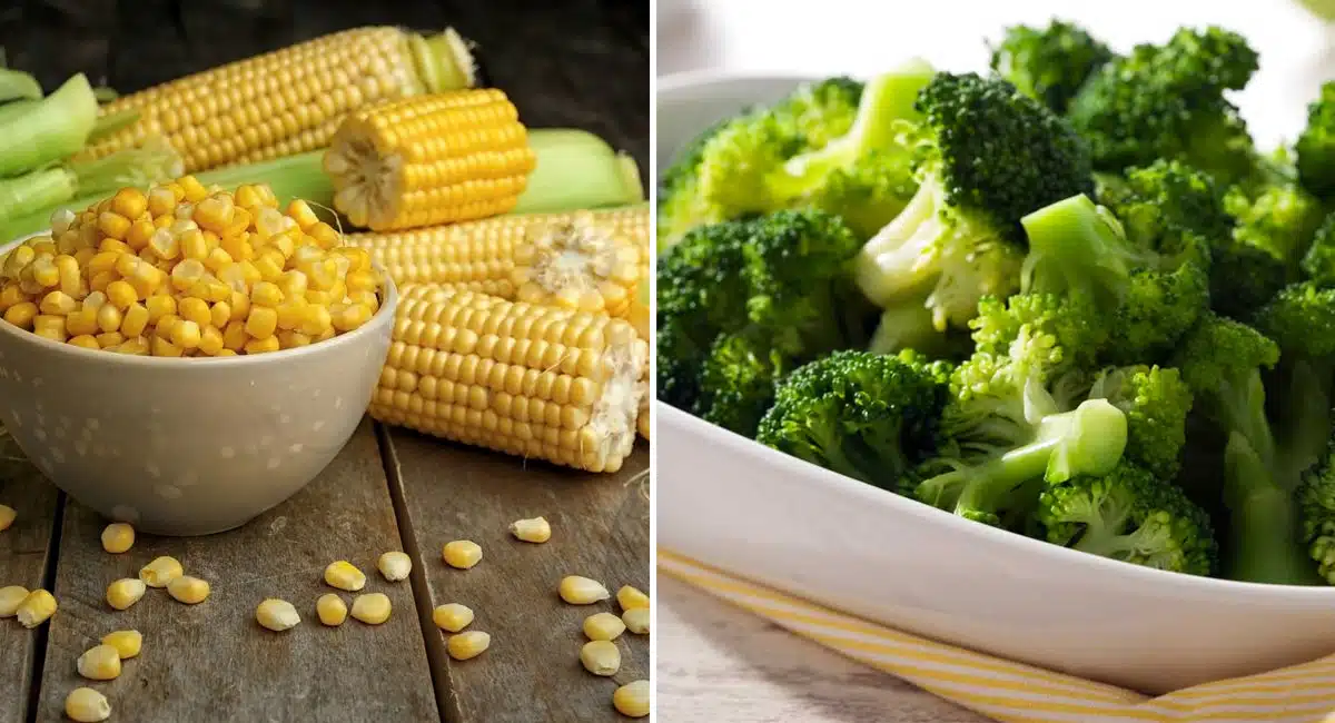 High Protein Food