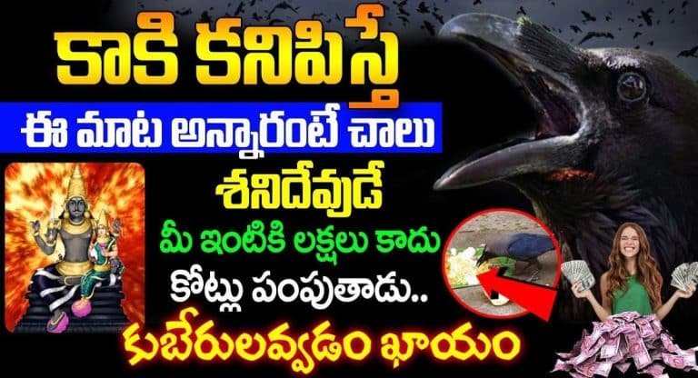 Importance Of Crow : కాకి కనిపిస్తే నీ ఒక్క మాట అనండి చాలు.. శని దేవుడు మిమ్మల్ని కోటీశ్వరులను చేస్తాడు..!!