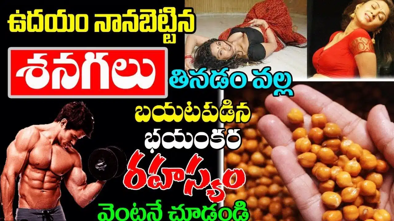 Health Tips Eating soaked chickpeas in the morning