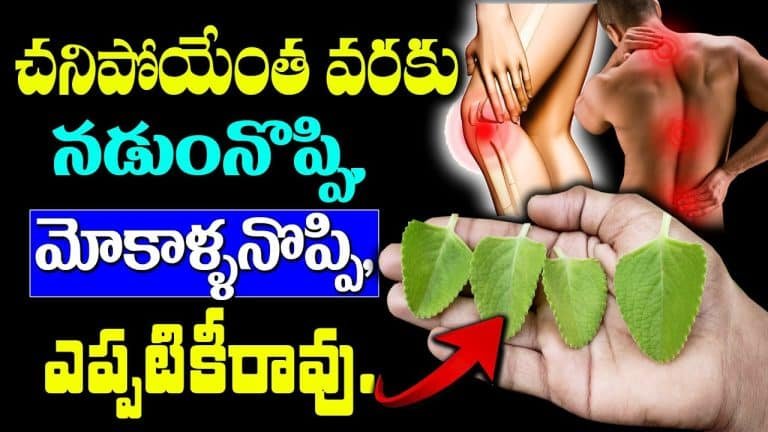 Health Benefits : చనిపోయేంతవరకు నడుము నొప్పి, మోకాళ్ళ నొప్పి ఎప్పటికీ రావు…!!