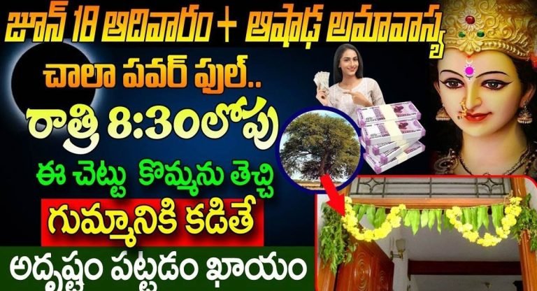 Ashada Amavasya : జూన్ 18 ఆదివారం ఆషాడ అమావాస్య 8:30 లోపు ఈ చెట్టు కొమ్మను తెచ్చి గుమ్మానికి కడితే అదృష్టం…!