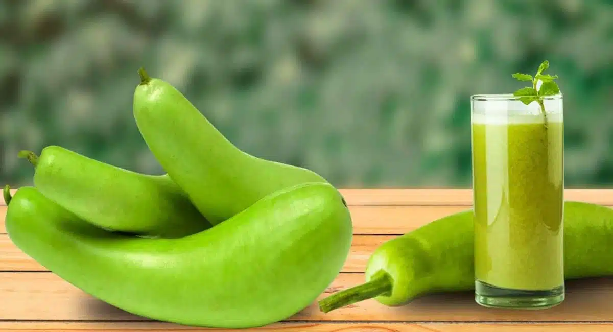Bottle Gourd Juice
