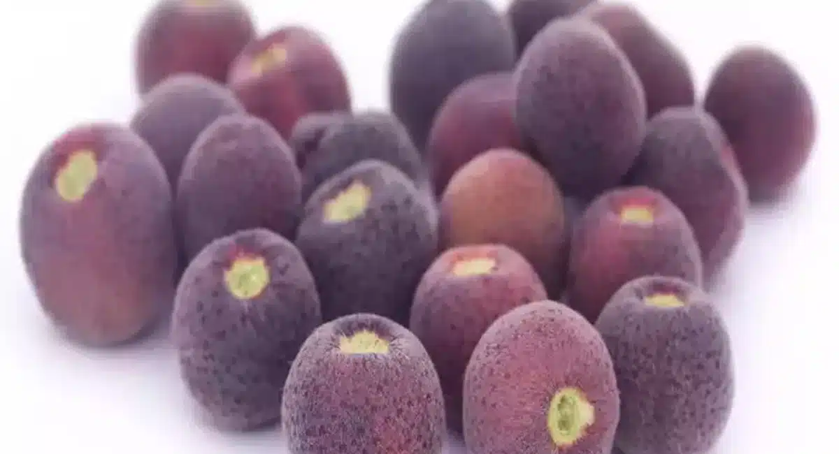 Falsa fruit benefits in summer,