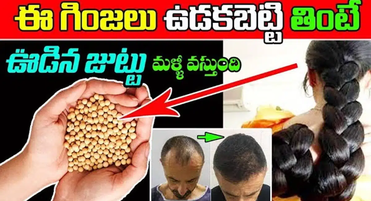 Hair Tips If these seeds are boiled and eaten, the hair will come back