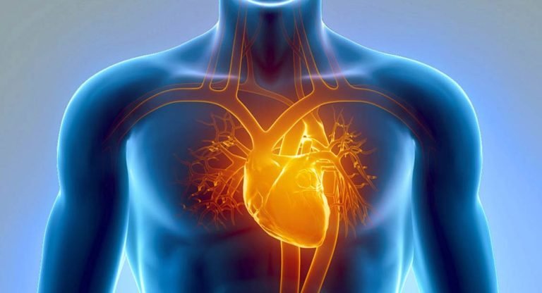 Heart Diseases : మీకు తెలియ‌ని అరుదైన‌ గుండెకి గుండెపోటు స‌మ‌స్య‌లు ఉన్నాయి.. మీకు తెలుసా..?