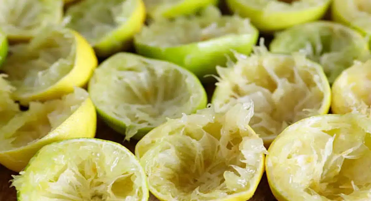 A pinch of lemon wood powder cures all these diseases