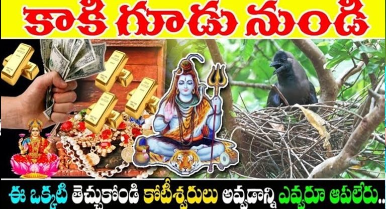 crow : కాకి గూడు నుండి ఈ ఒక్కటి తెచ్చుకోండి… కష్టాలన్నీ పోయి కోటీశ్వరులు అవుతారు…!