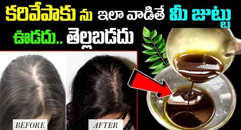 కరివేపాకు ఇలా వాడితే మీ జుట్టు ఊడదు.. తెల్లబడదు..!