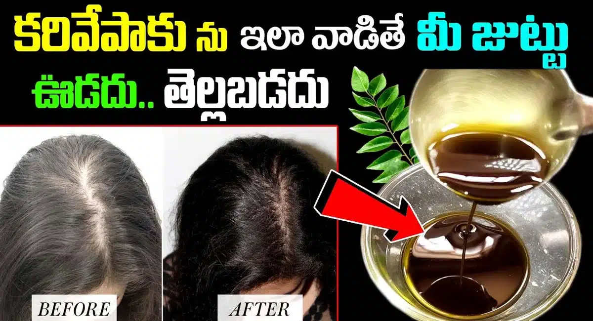 If you use curry leaves like this, your hair will not become gray