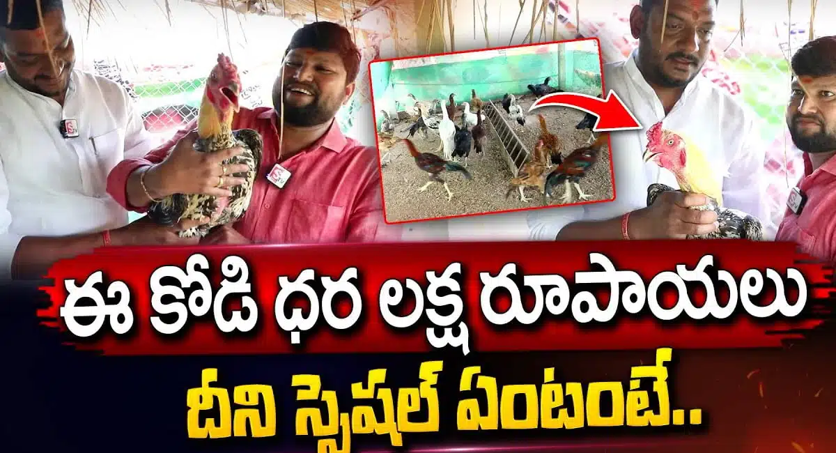chicken worth one lakh rupees the video is viral