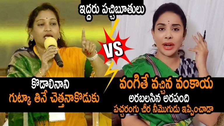 Vangalapudi Anitha Vs Sri Reddy : వంకాయ అనిత అంటూ శ్రీ రెడ్డి కౌంటర్ వీడియో వైరల్..!!