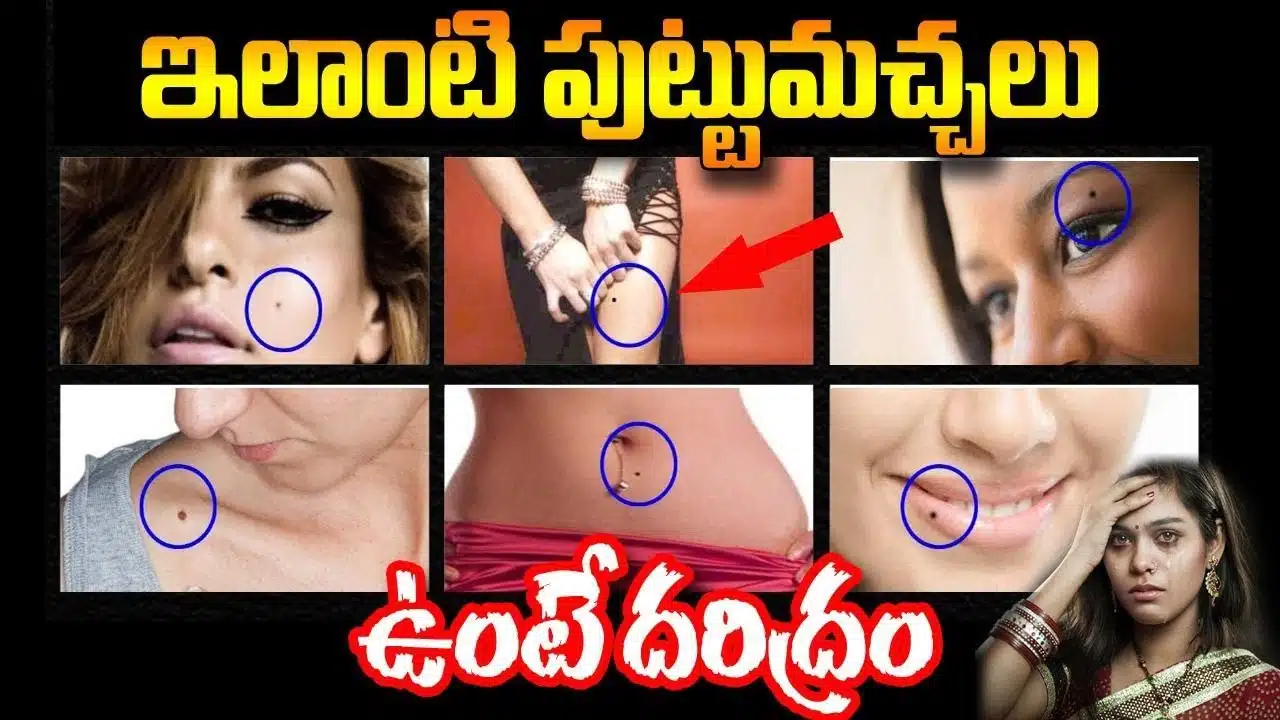 Mole ASTROLOGY Telugu 2023