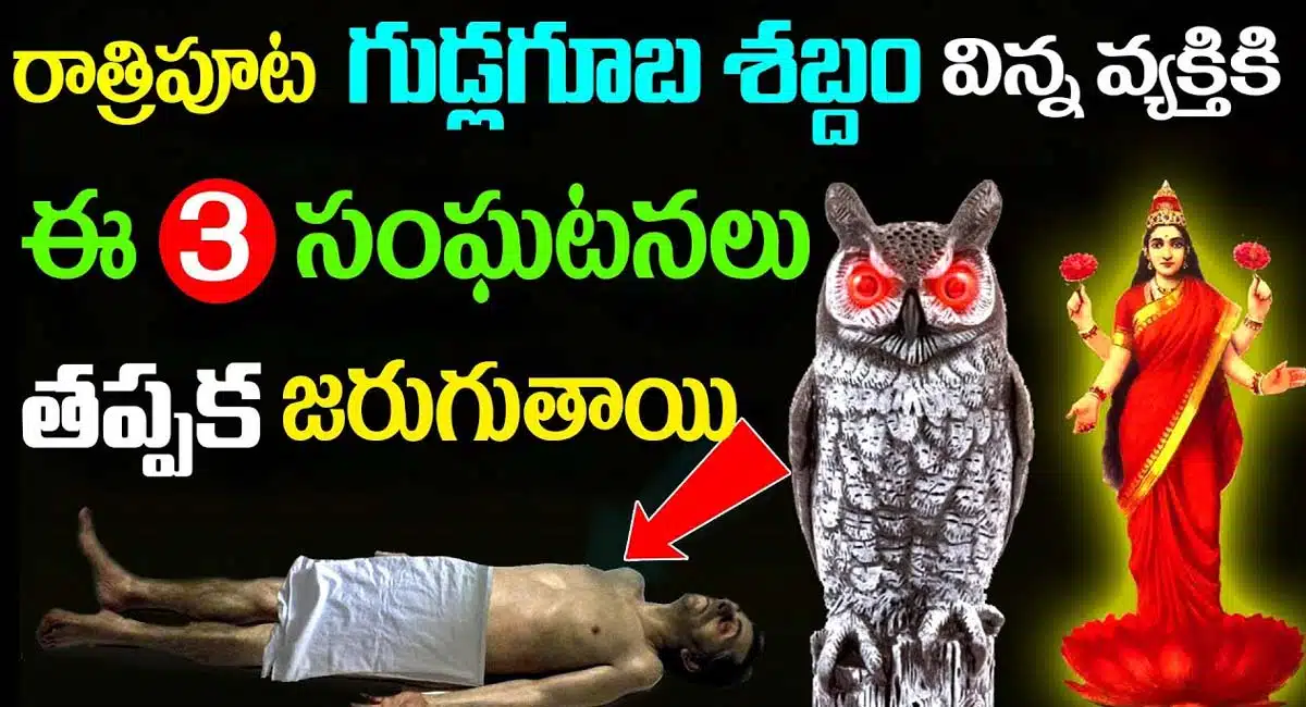 These three events must happen to a person who hears the sound of an owl at night