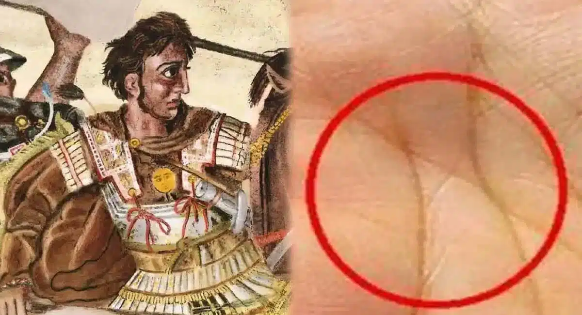 do you have a similar mark on your palm if you look