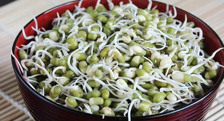 Health Tips : బ్రేక్ ఫాస్ట్ లో మొలకెత్తిన పెసర్లు తింటే ఏమవుతుందో తెలుసా ..?