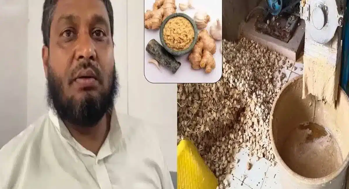 counterfeit ginger And garlic In market beware