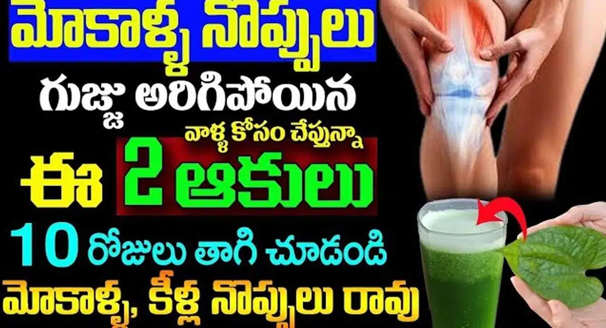 Knee pain relief with just two leaves