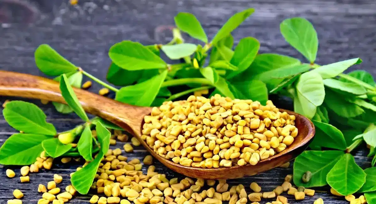 Methi Health Benefits of Diabetes