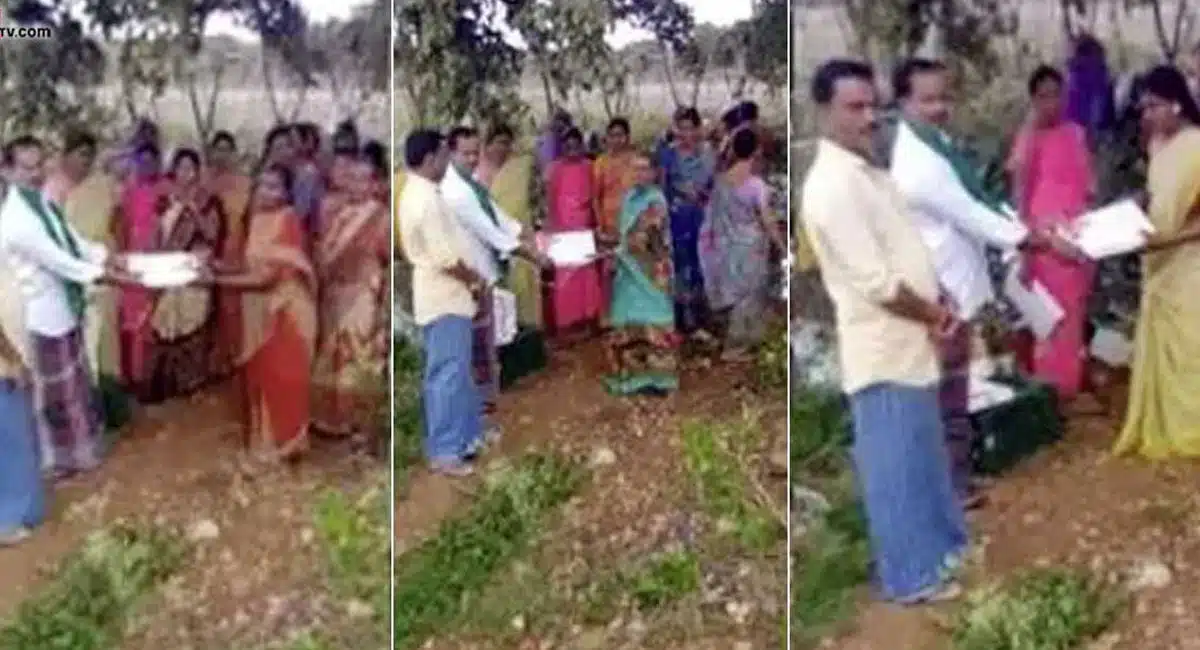 tomato farmer shared his profits with his labours in ap