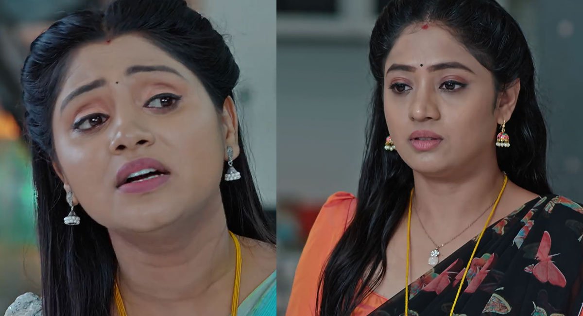 Nuvvu Nenu Prema 29 July Today Episode : గుండెలు పగిలేలా రోదించిన పద్మావతి.. విక్కీ, పద్దు అసలు భార్యాభర్తలు కాదని అరవిందకు తెలుస్తుందా?