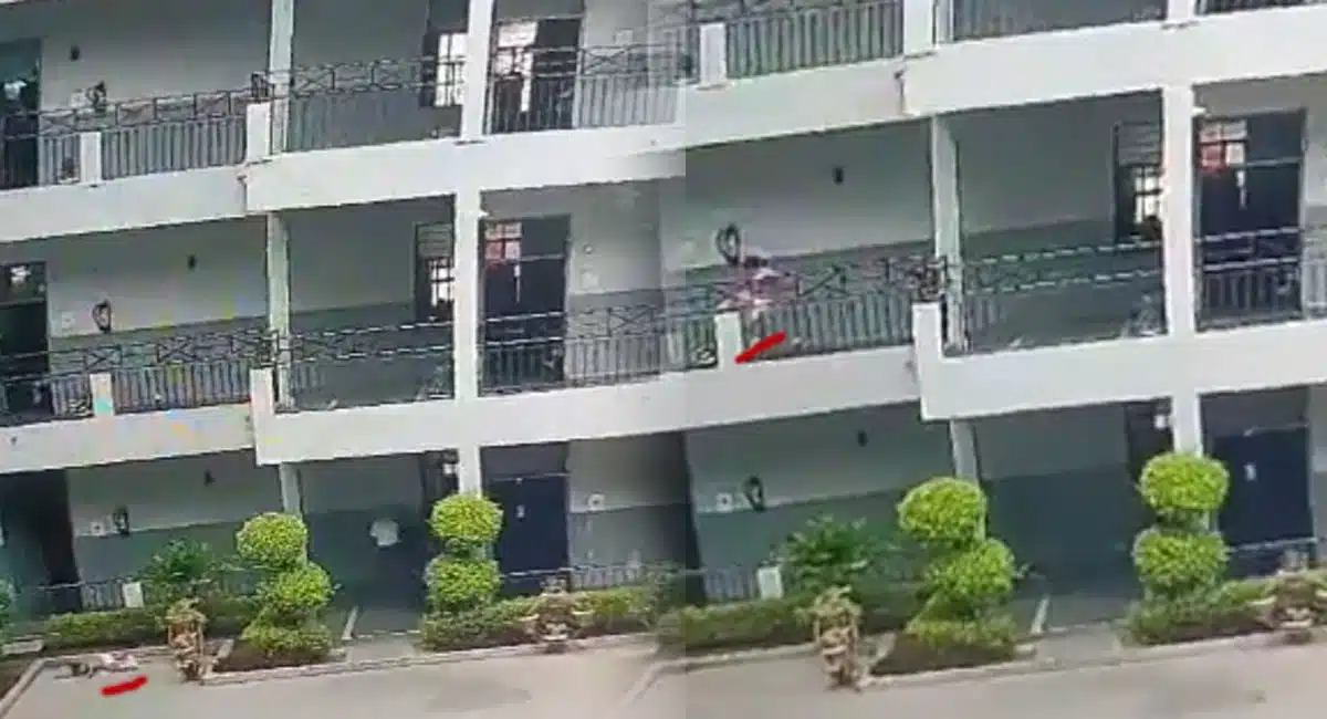 children jumping off the school building