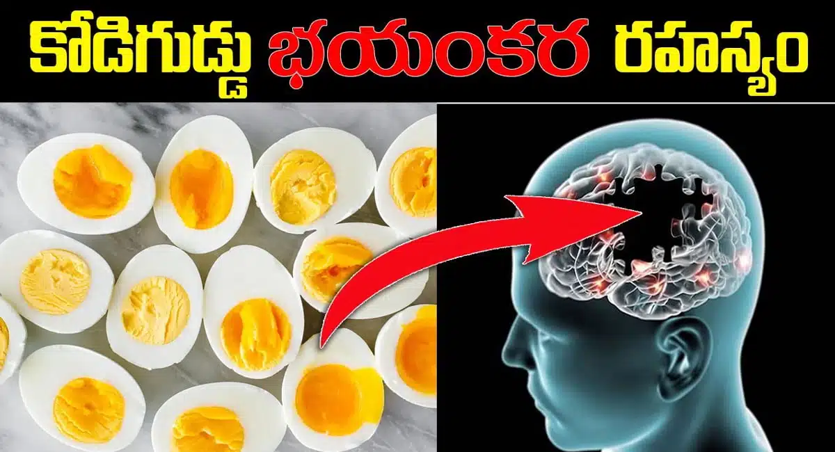 You must know this before eating chicken eggs