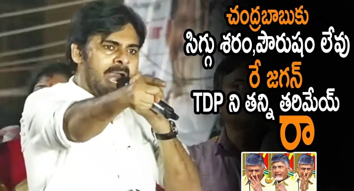 Pawan Kalyan criticism on Ys jagan and chandrabab