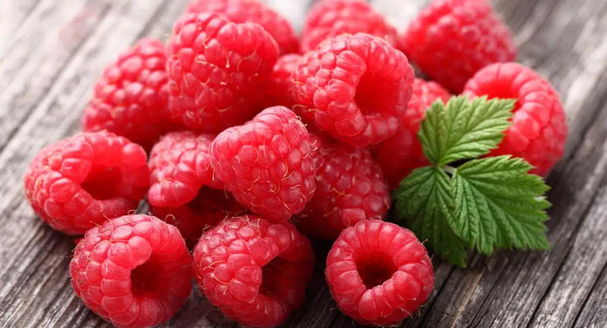 Eating this fruit every day will make your brain sharp