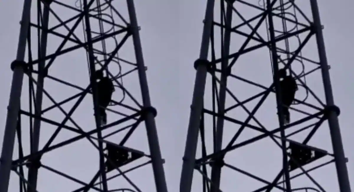 woman climbs jio cell tower after fight with fellow sister in law