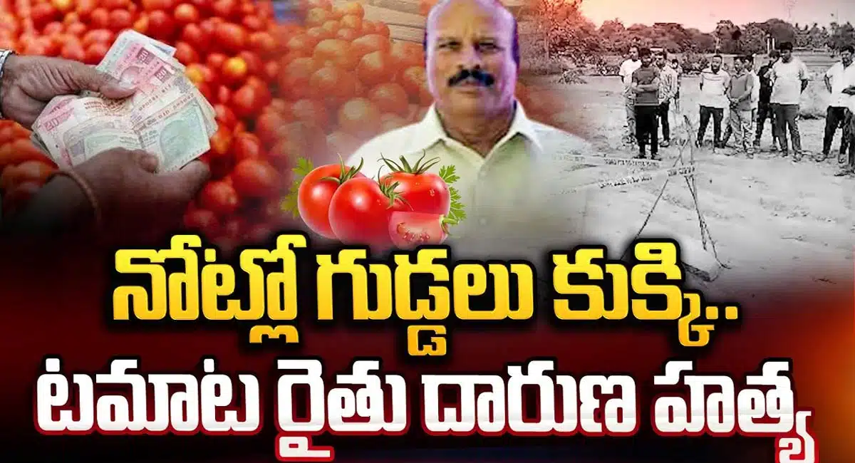 tomato farmers murder in tirupati district