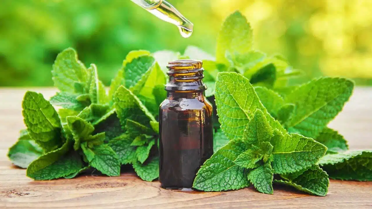 Health Tips : దీని ఆవిరి 5నిమిషాలు పడితే చాలు.. అన్ని వ్యాధులు మటుమాయం…!!