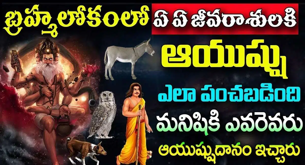 how much Ayush is fixed for living creatures in the world of Brahma