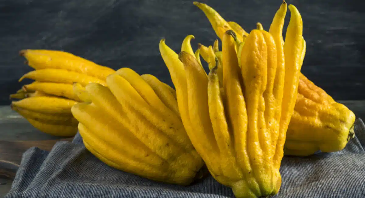Health Benefits of Buddhas Hand