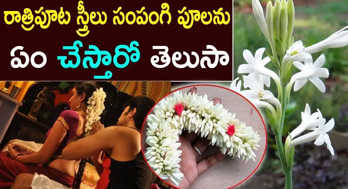 Benfits Of The Sampangi Tree and Flower