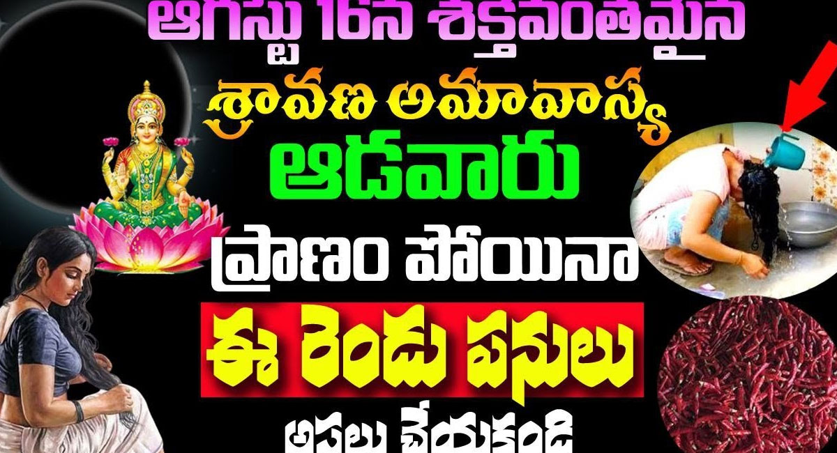 Shravana Amavasya : ఆగస్టు 16 శక్తివంతమైన శ్రావణ అమావాస్య ఆడవారు ప్రాణం పోయినా ఈ రెండు పనులు అస్సలు చేయకండి…