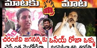 pawan kalyan serious on roja over her comments against chiranjeevi
