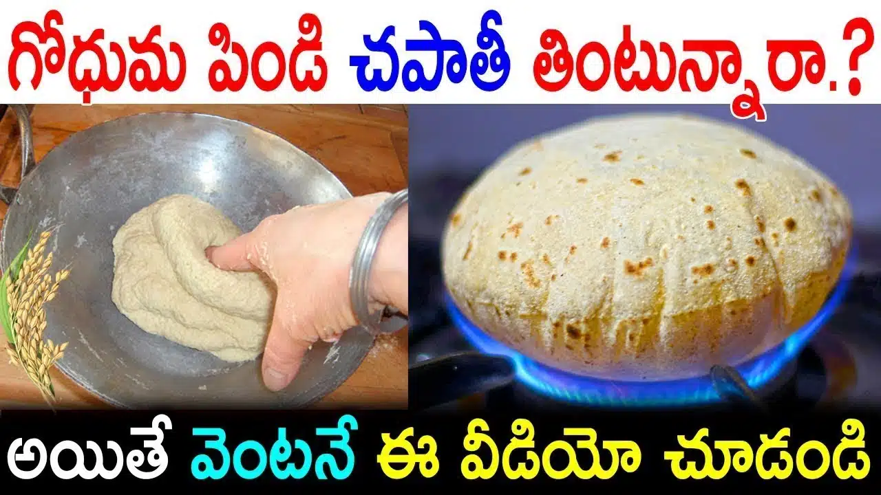 Top 5 Health Benfits Of The Eating Chapati Revealed Unknown Facts About Chapati