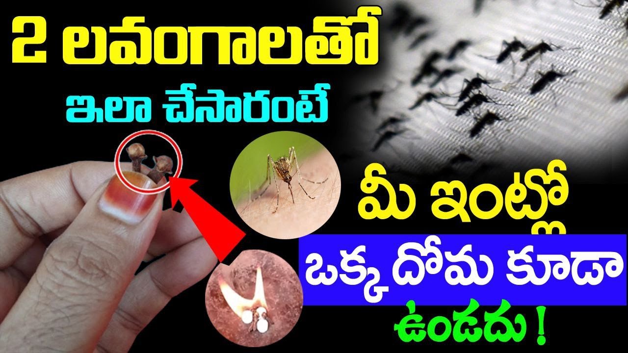 Mosquitoes : రెండు లవంగాలతో ఇలా చేస్తే ఒక్క దోమ కూడా ఇంట్లో ఉండదు…!!