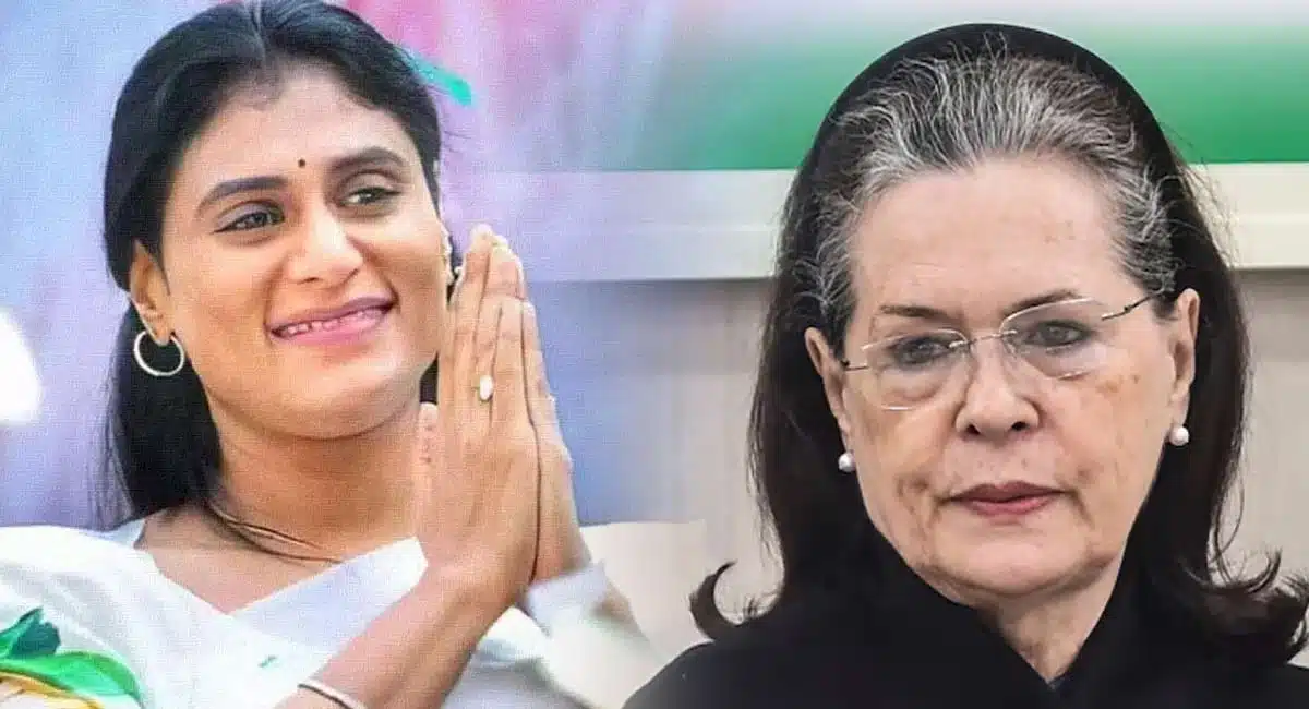 ys sharmila to merge her party in congress