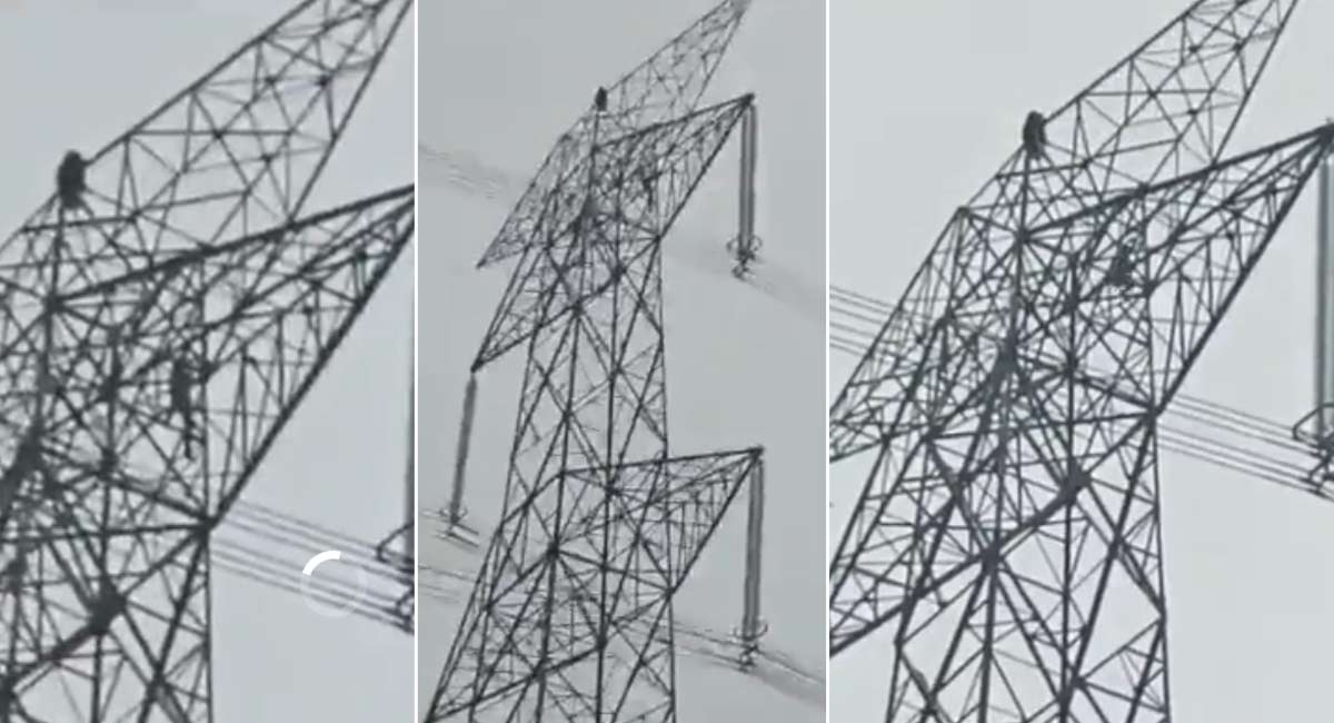 chhattisgarh lovers climbed 150 feet high tension electricity pole Viral video