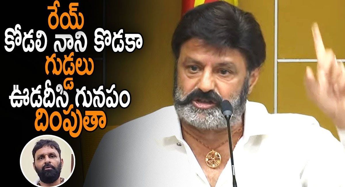 Balakrishna : రెయ్ కొడాలి నాని కొడకా.. గుడ్డలు ఊడదీసి గునపం దింపుతా.. బాలకృష్ణ సినిమా స్టైల్ వార్నింగ్ అదుర్స్