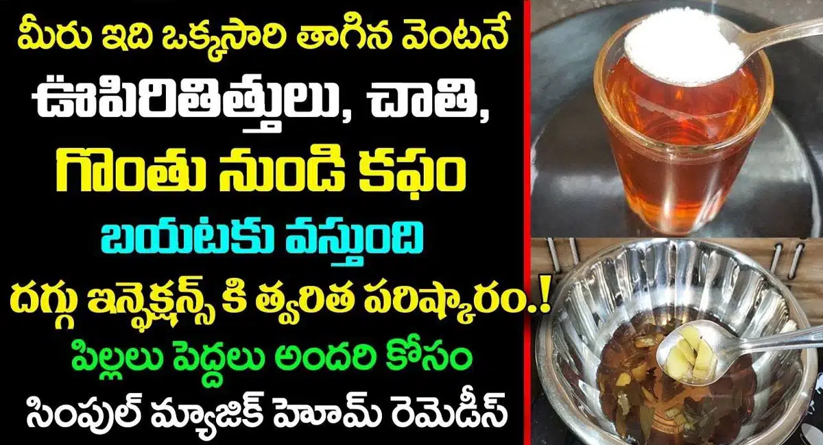 Health Tips : కేవలం ఒక్కసారి తాగిన వెంటనే ఊపిరితిత్తులు, చాతి, గొంతు నుండి కఫం బయటికి వస్తుంది...!